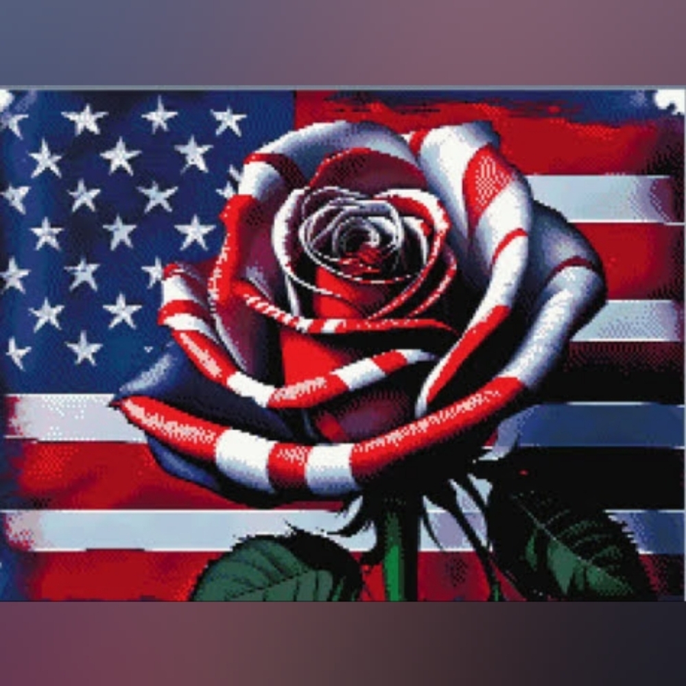 🇺🇸 𝑺𝒑𝒊𝒓𝒊𝒕 𝑶𝒇 𝑨𝒎𝒆𝒓𝒊𝒄𝒂⭐ 𝒀𝟐𝑲 𝑺𝒉𝒊𝒓𝒕 - Picture 14 of 14